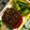 nosso's cooksnap of when they made こんがり納豆揚げ.