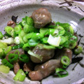 Haru Haru's cooksnap of when they made おつまみに♪ネギ塩砂肝炒め.