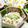 makichihua's cooksnap of when they made おくらの粒マスタード和え.