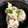 ごめっきー's cooksnap of when they made チン！して簡単！里芋の皮むき☆.