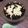 ぴりっちょ's cooksnap of when they made ほうじ茶豆乳ぷりん.