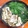 だぁしま's cooksnap of when they made 舞茸と小松菜と豚肉の煮浸し.