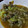 りっくんぱぱ0202's cooksnap of when they made 　簡単　白菜と豚肉のカレー煮　.