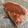 nishikiJPC's cooksnap of when they made 卵なし、リコッタチーズのティラミス.