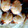 クック3Z4HYD☆'s cooksnap of when they made ストーブde★簡単放置★ゆで卵.