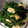 kana421's cooksnap of when they made 簡単☆☆☆ほうれん草の和え物(作り置き).