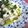 ♡いるか♡'s cooksnap of when they made 豆腐とチーズのほろほろマリネ.