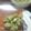 lully's cooksnap of when they made アボカドディップ.