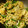 SKB34's cooksnap of when they made れんこんとピーマンの甘辛炒め.