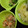 ｽｶｲﾌｨｯｼｭ☆'s cooksnap of when they made 鮭のエノキとほうれん草炒め✨.