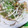 ホソニャン's cooksnap of when they made 大根の重ね蒸し・熟味酢ソース.