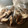 めりーがっつさぶ's cooksnap of when they made 大量椎茸冷凍小分け保存.