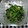 なおつん0802's cooksnap of when they made ほうれん草の胡麻きな粉和え.