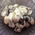 しんしょうはは's cooksnap of when they made チューブ牡蠣の水を飛ばさず下拵えまで。.