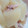 ｱﾗｲｸﾞﾏ's cooksnap of when they made ほったらかし豚大根の煮物.