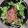 xyzクック's cooksnap of when they made 道産子漁師直伝！イカの塩辛丼.