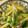 栄養士のLily's cooksnap of when they made かぶの葉としゃがいものきんぴら.