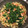 かせぃじん's cooksnap of when they made 節約！大根皮の洋風きんぴら.