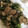りんりんっ☆'s cooksnap of when they made 簡単☆春菊と豚肉の卵とじ.