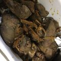 ★ロケットるっこら★'s cooksnap of when they made 定番 鶏きも煮.