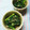 いとしのせん's cooksnap of when they made 苦手克服！春菊と大根おろしの酢の物.