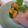 にゃんがす's cooksnap of when they made 胡瓜のお花(飾り切り).