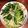 Yongren's cooksnap of when they made 簡単中華・細切りジャガイモと青菜の塩炒め.