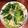 Yongren's cooksnap of when they made 簡単中華・細切りジャガイモと青菜の塩炒め.