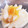 12ゆき25's cooksnap of when they made 簡単な自家製の漬物柚子大根.