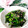 クックI7I5L1☆'s cooksnap of when they made 甘辛ししとうひじきの炒め物.