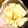 azbjbn's cooksnap of when they made 簡単エノキほぐし.