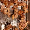 ともみおママ's cooksnap of when they made ☆クレイジーソルトで☆豚の唐揚げ.