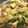 ひまわり６号's cooksnap of when they made 青梗菜と豆腐 のカニあんかけ.