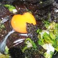 クックSKDHYF☆'s cooksnap of when they made 飲んだ後のシメに♪ねぎ飯！.