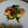 melmarilyn's cooksnap of when they made 菜の花と海老のからし醤油和え.