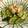 creeeampan's cooksnap of when they made サバ水煮缶ときゅうりの酢の物.