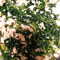 ⁂RiE⁂'s cooksnap of when they made 簡単副菜☆しめじとほうれん草の白和え.