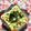 ぽぽきゅ's cooksnap of when they made 海苔香る❀ピーマン・枝豆×紅生姜トースト.