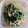 Yamat0's cooksnap of when they made 三つ葉香る…わかめときゅうりの酢の物.