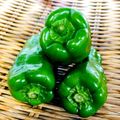 azbjbn's cooksnap of when they made ピーマン 基本の下ごしらえ.