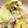 春心☆薫子's cooksnap of when they made 簡単！子供も大好き！白菜とひき肉の重ね煮.