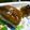 roses6477's cooksnap of when they made 秋☆さんまで蒲焼寿司.