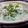 ＨＩＤＥぶー's cooksnap of when they made 簡単で胃に優しい豚肉のみぞれ鍋.