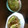 ♪ひとみん♪'s cooksnap of when they made 白菜とピーマンの春雨炒め.