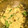 k486y2562's cooksnap of when they made 基本の白和え.