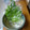 K/S's cooksnap of when they made 鮮度を保つ大葉の保存方法☆.