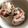 ゆかりりりー's cooksnap of when they made カニの食べ方〜セコガニ〜.