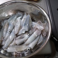 Kenyさん's cooksnap of when they made イカの下処理(ヒイカ).