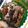 nosso's cooksnap of when they made モチモチ納豆チーズ焼き.