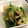 ぱぴぷゆい's cooksnap of when they made ちくわとミツバのマスタード和え.
